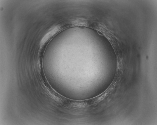 X0000062870245200601131448