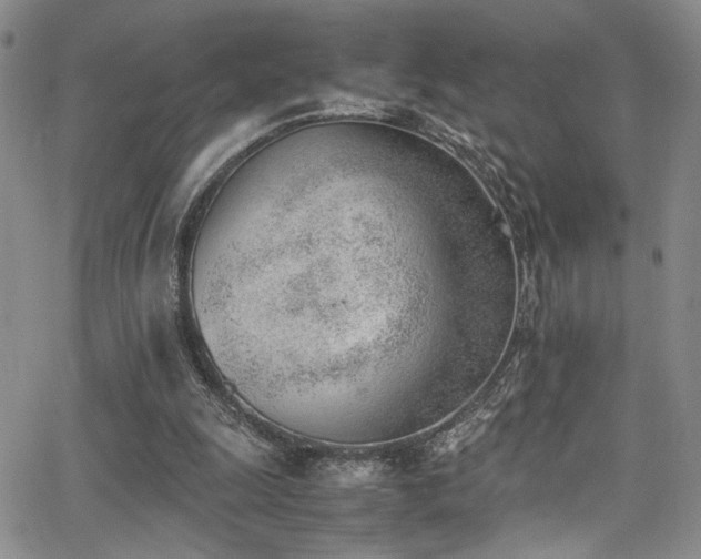 X0000062870247200601131448