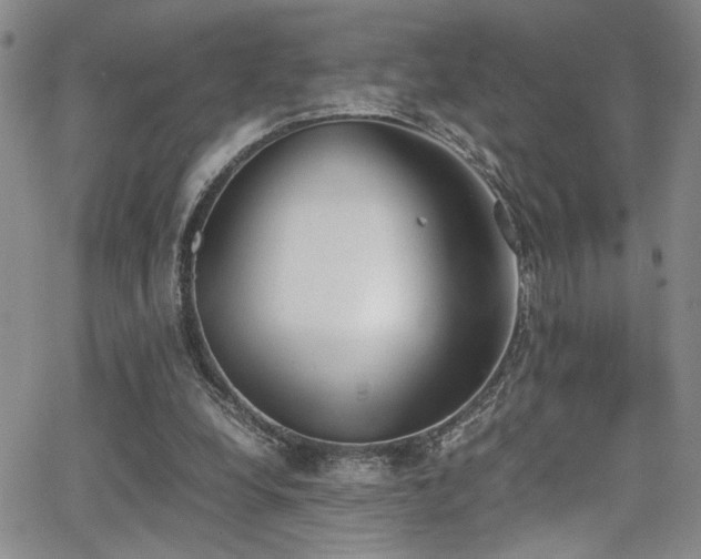 X0000062870248200601131448