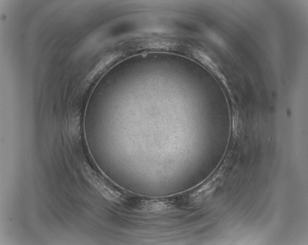 X0000062870249200601131448