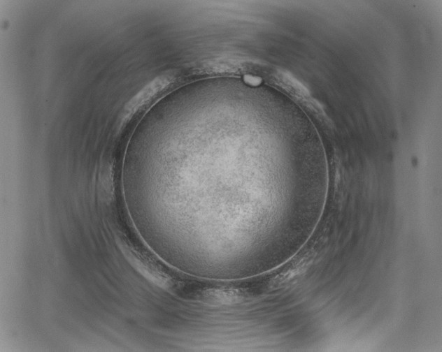 X0000062870250200601131449