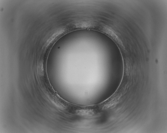 X0000062870251200601131449