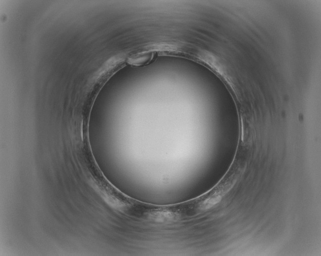 X0000062870253200601131449