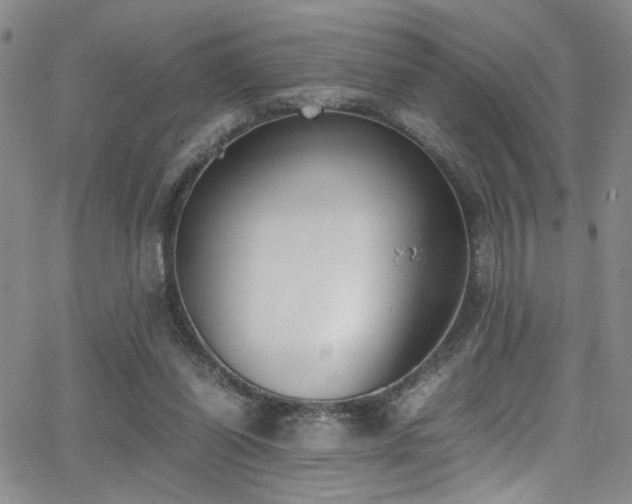 X0000062870254200601131449