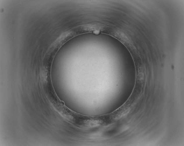 X0000062870255200601131449