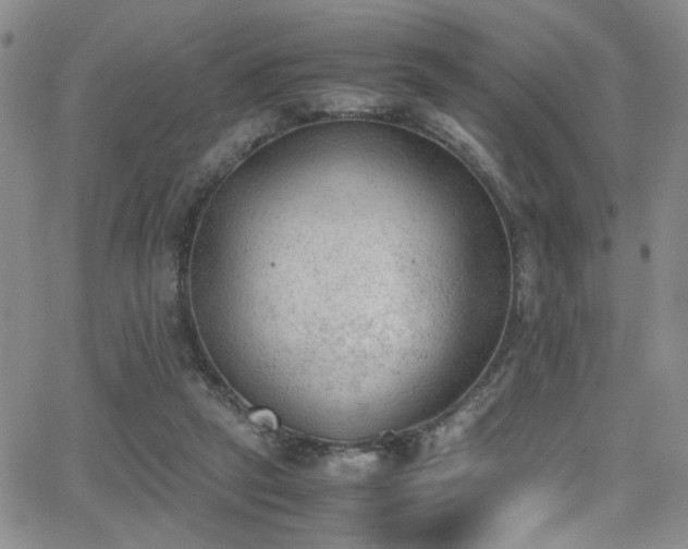 X0000062870257200601131449