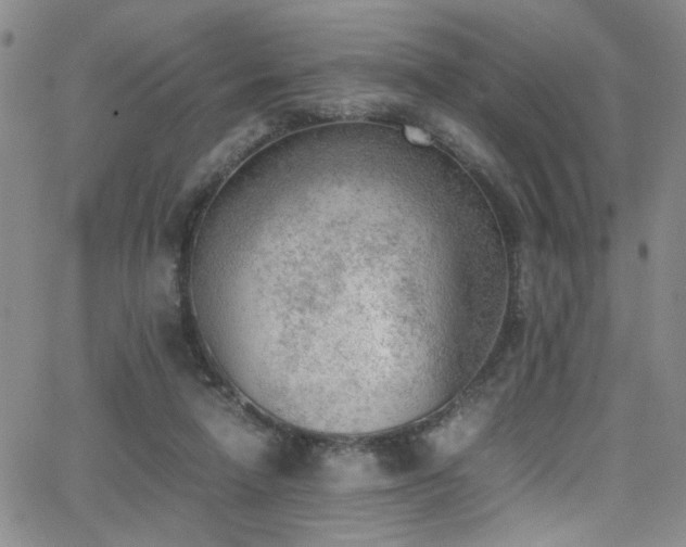 X0000062870258200601131449