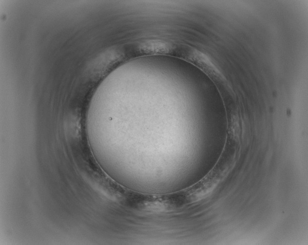 X0000062870259200601131449