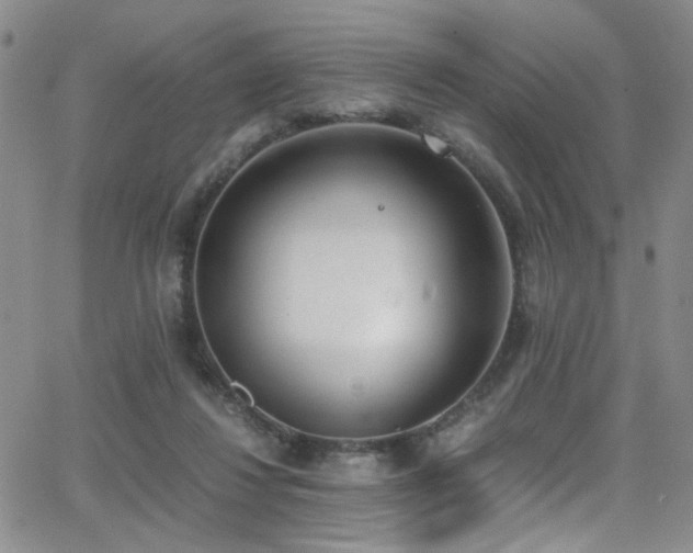 X0000062870260200601131449