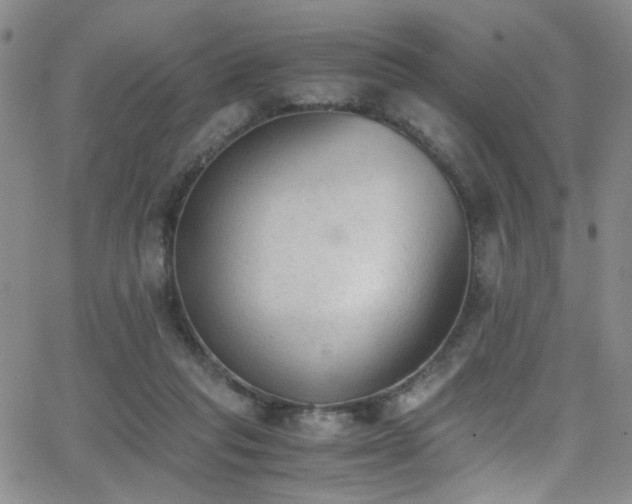 X0000062870261200601131449