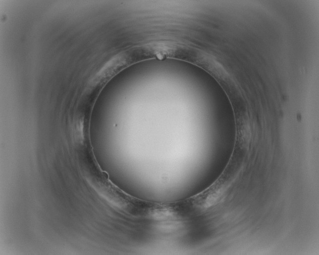 X0000062870262200601131449