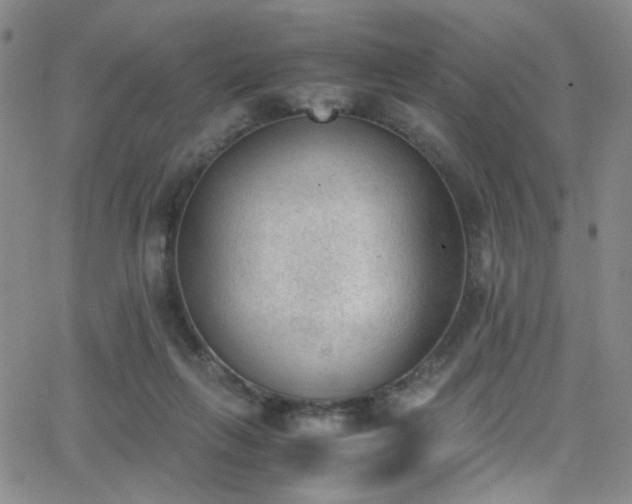 X0000062870263200601131449