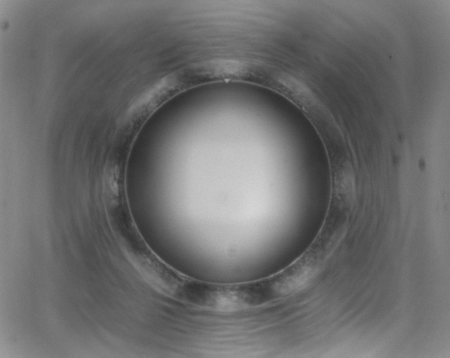 X0000062870264200601131449