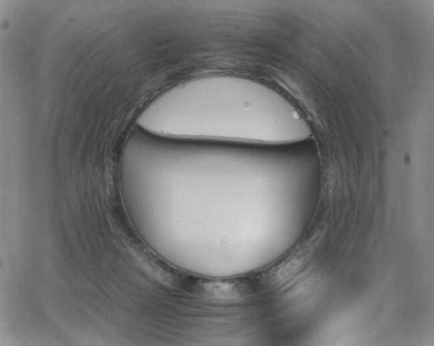 X0000062870265200601131449