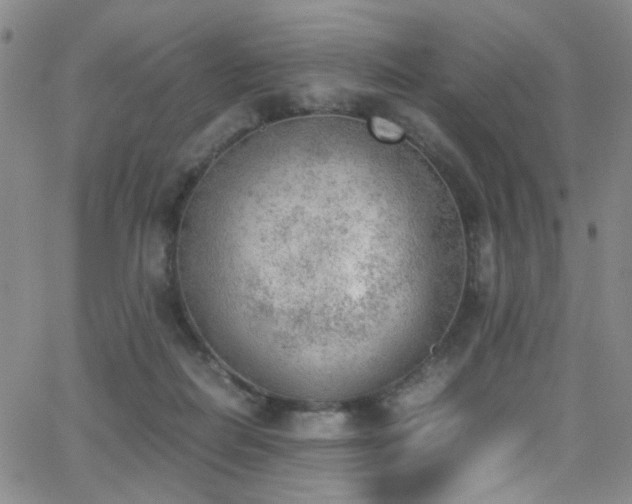 X0000062870266200601131449