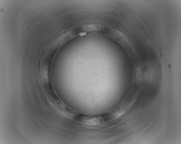 X0000062870267200601131449