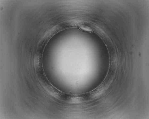 X0000062870268200601131449