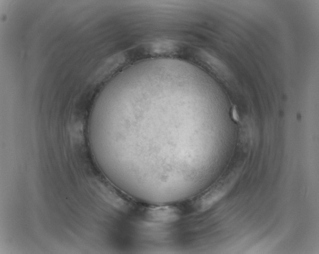 X0000062870269200601131449