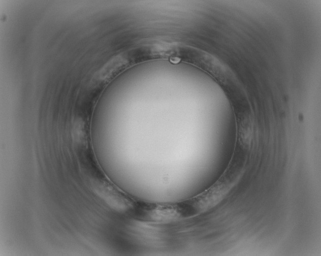 X0000062870270200601131449