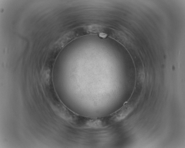 X0000062870271200601131449