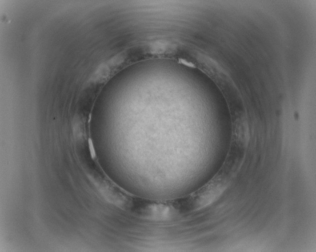 X0000062870272200601131449