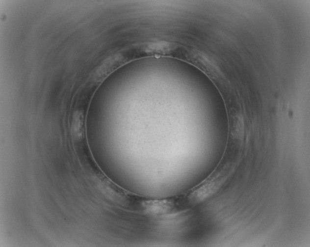 X0000062870273200601131449