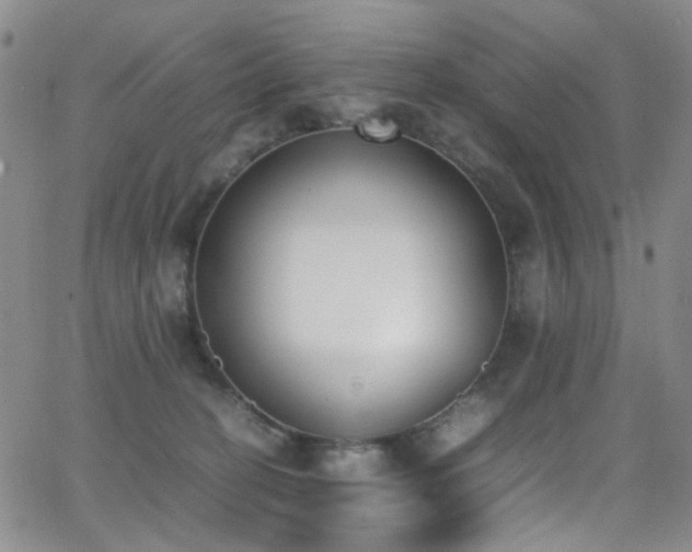 X0000062870274200601131449