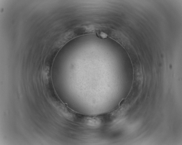 X0000062870275200601131449