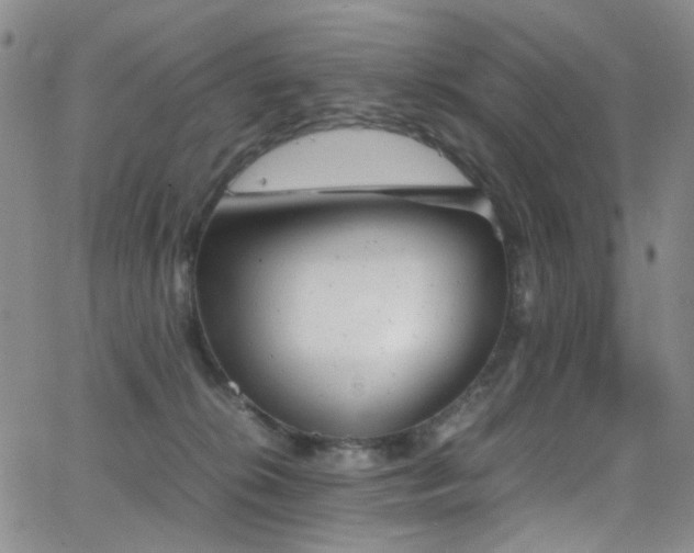 X0000062870276200601131449