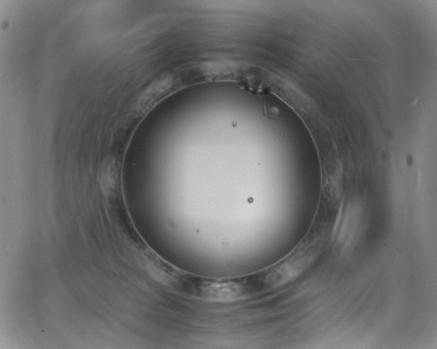 X0000062870277200601131449