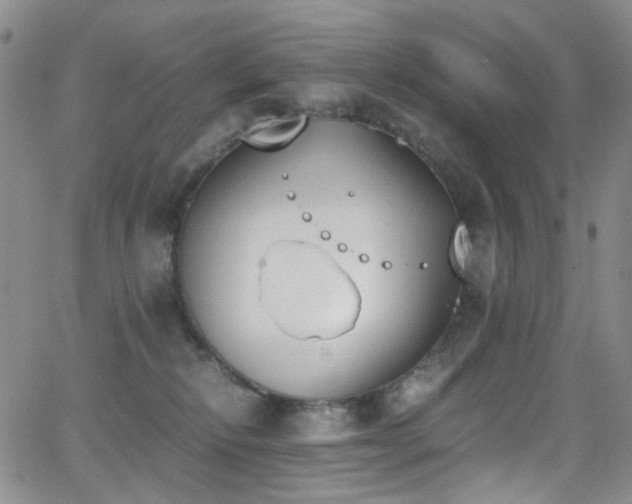 X0000062870278200601131449