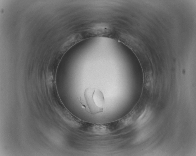 X0000062870279200601131449