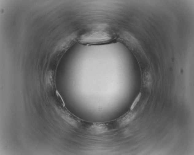 X0000062870280200601131449