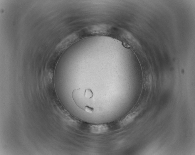 X0000062870281200601131449