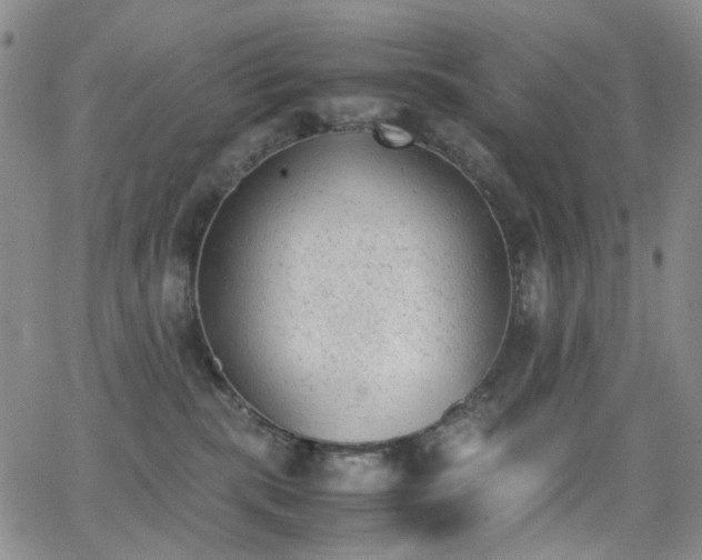 X0000062870283200601131449