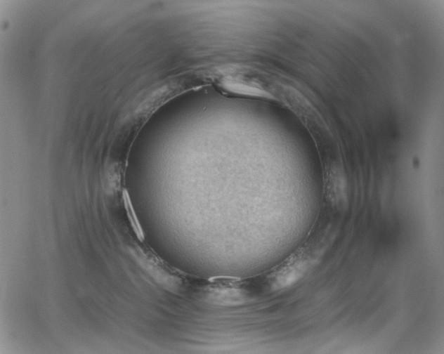 X0000062870284200601131449