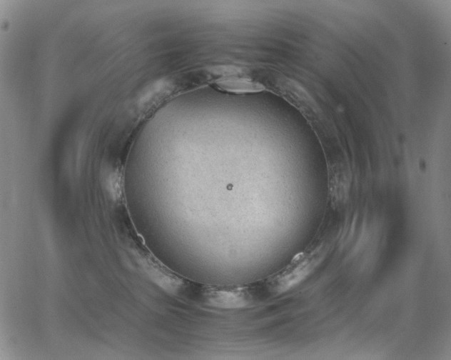 X0000062870285200601131449