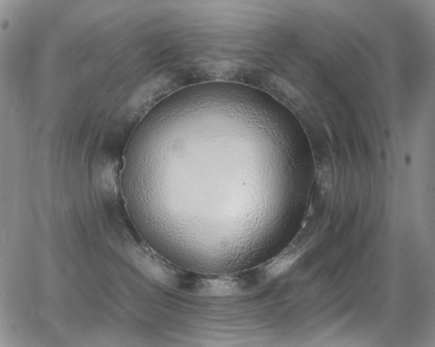 X0000062870286200601131449