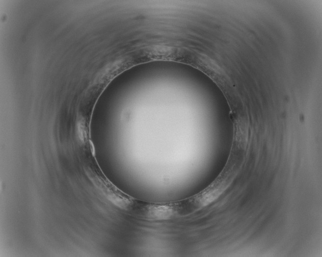 X0000062870287200601131449