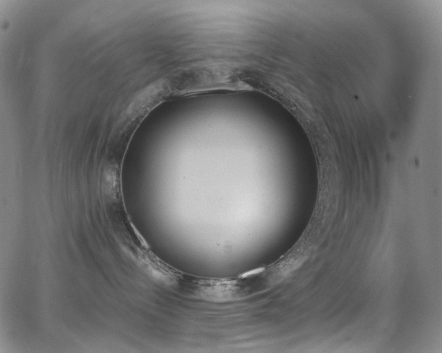 X0000062870288200601131449