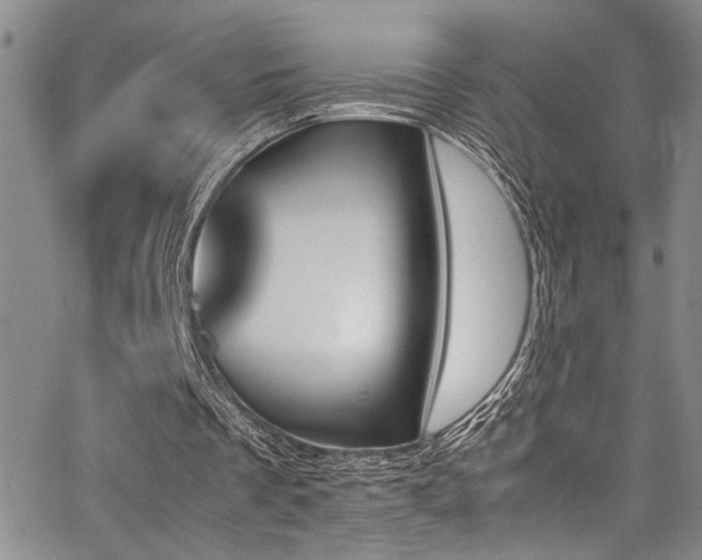 X0000062870289200601131448