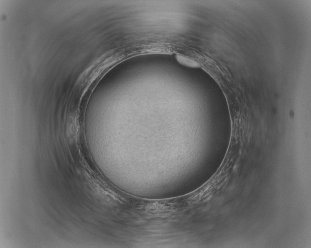 X0000062870290200601131448