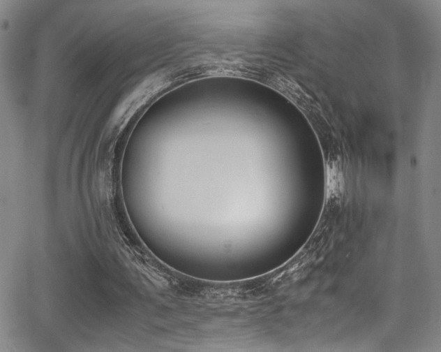 X0000062870291200601131448