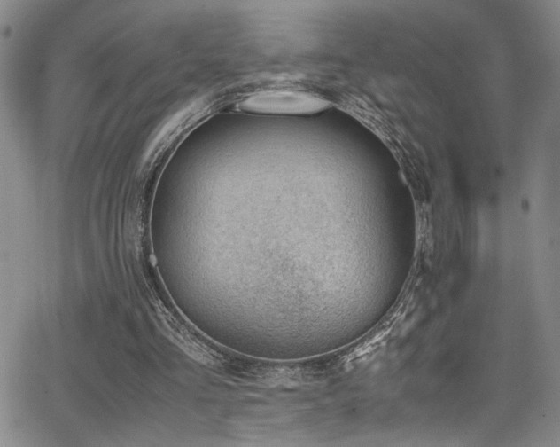 X0000062870293200601131448