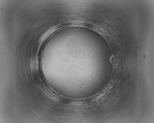 X0000062870294200601131448