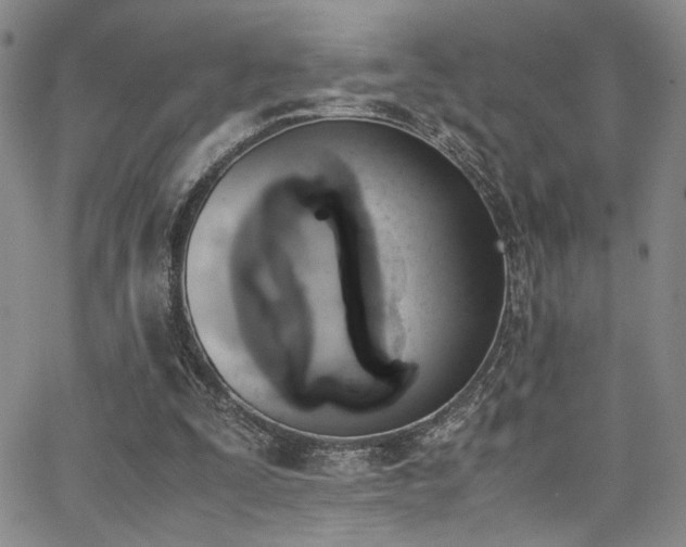 X0000062870295200601131448