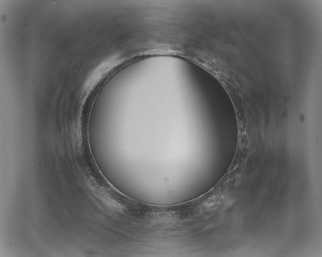 X0000062870296200601131448