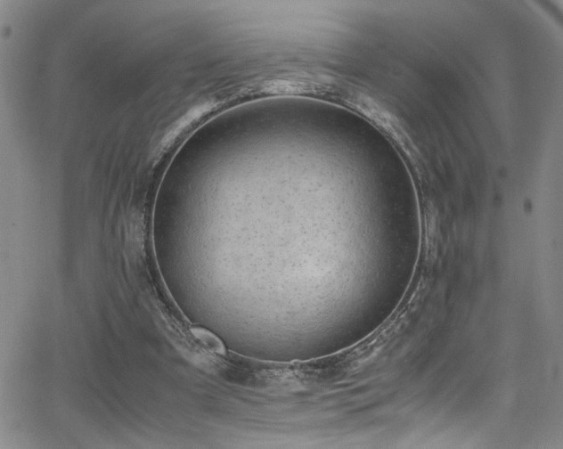 X0000062870297200601131448