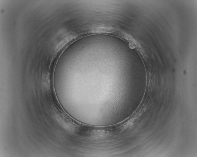 X0000062870298200601131448