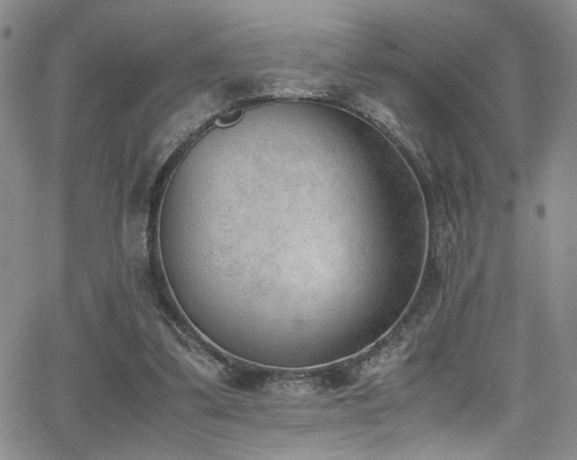 X0000062870299200601131448